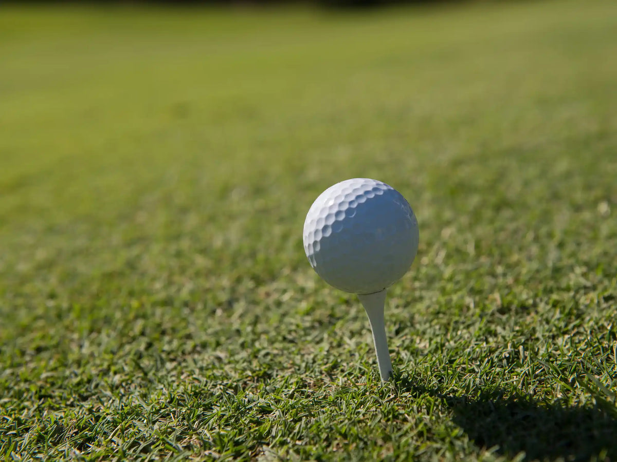 The Golf Stats Beginners Should Track First