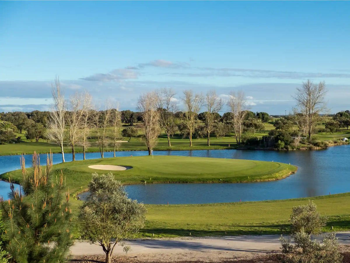 lake-surrounded-by-greenery-blue-sky-sunlight-daytime