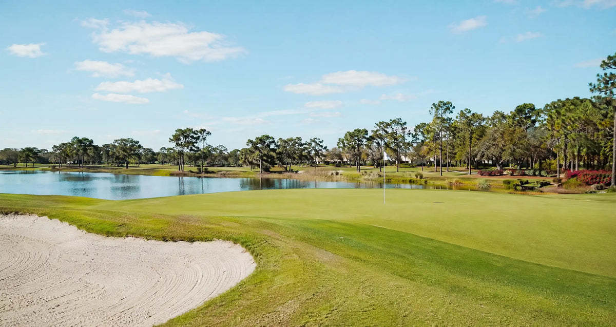 Golf course with green grass, sand bunker, and trees in the background.