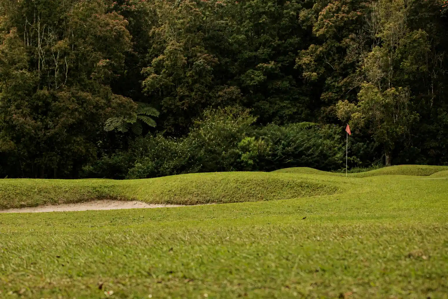 How to Choose the Right Target in Golf