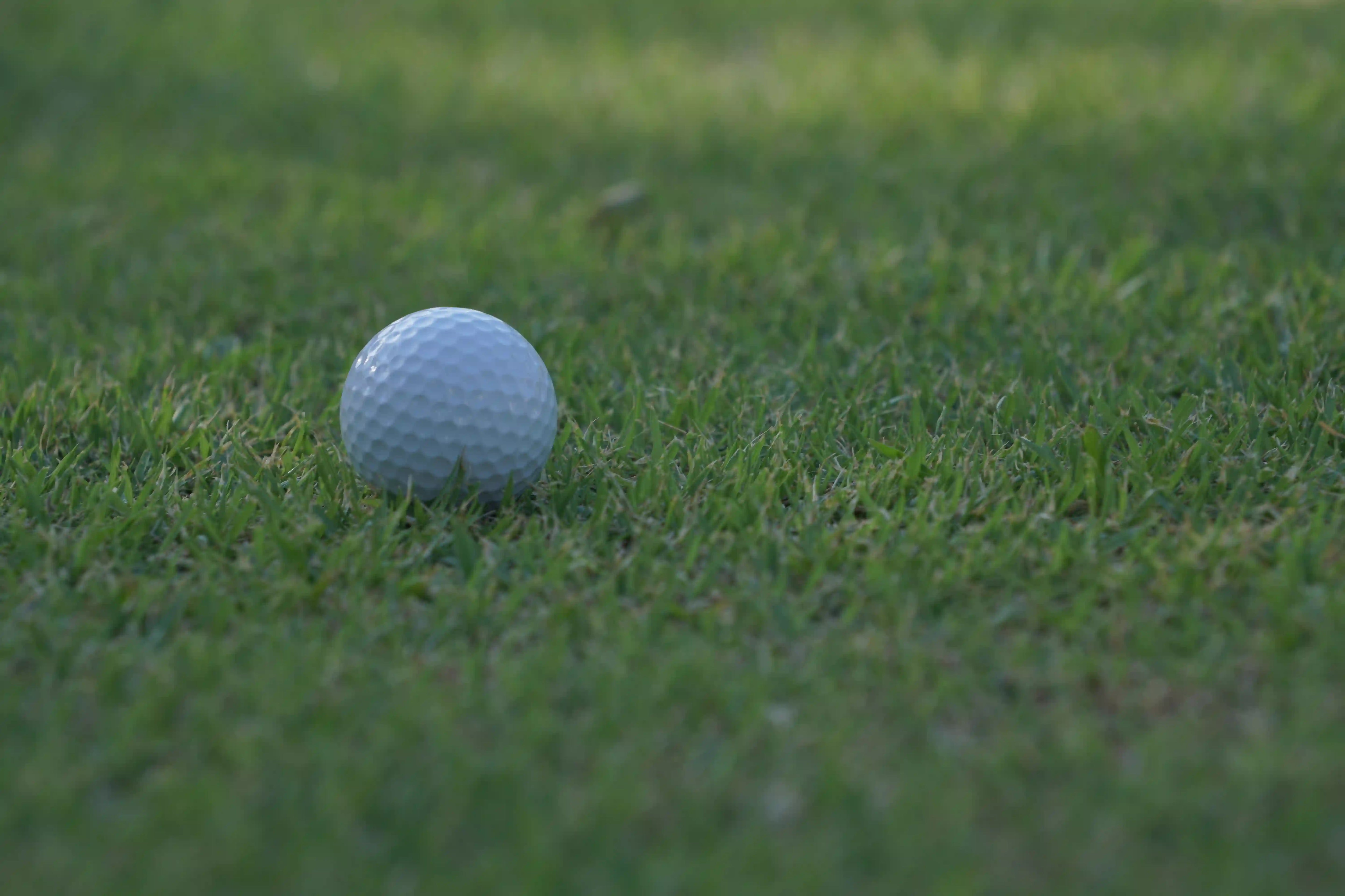 How Does Grain Affect Putting Speed and Break?
