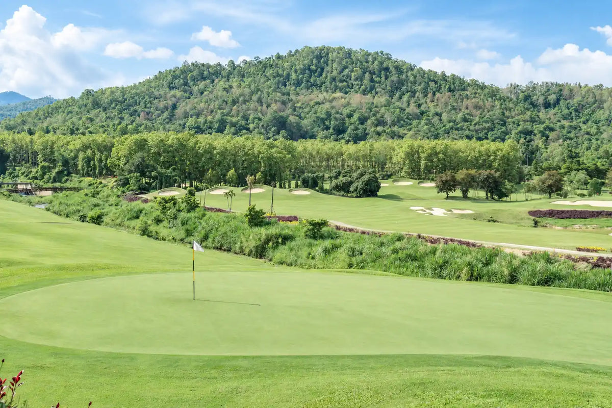 How to Establish an Official Golf Handicap in the US