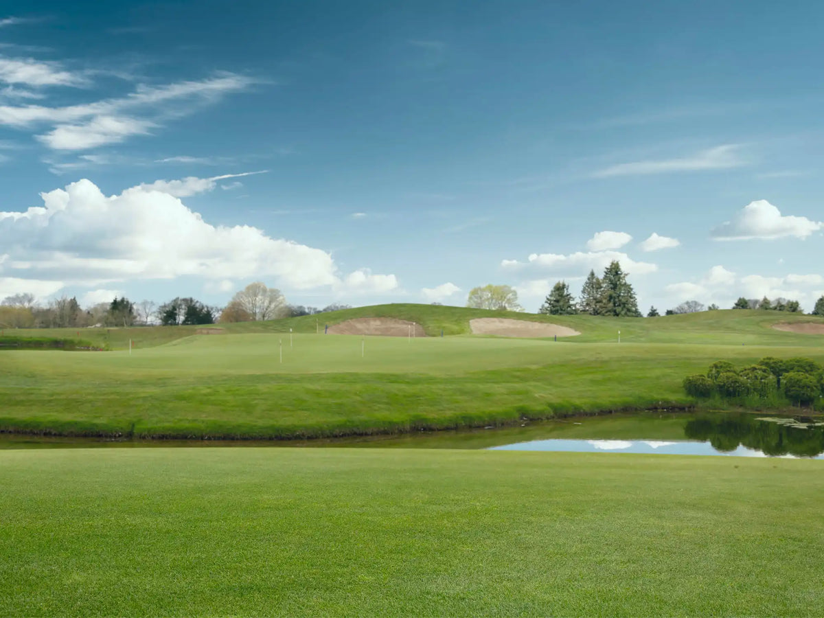 golf field